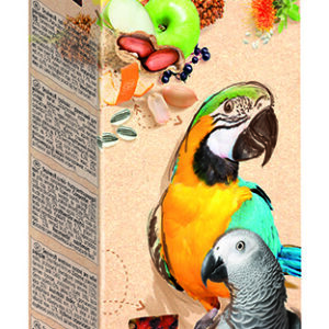 Smakers orzech-owoc dla dużych papug 250g