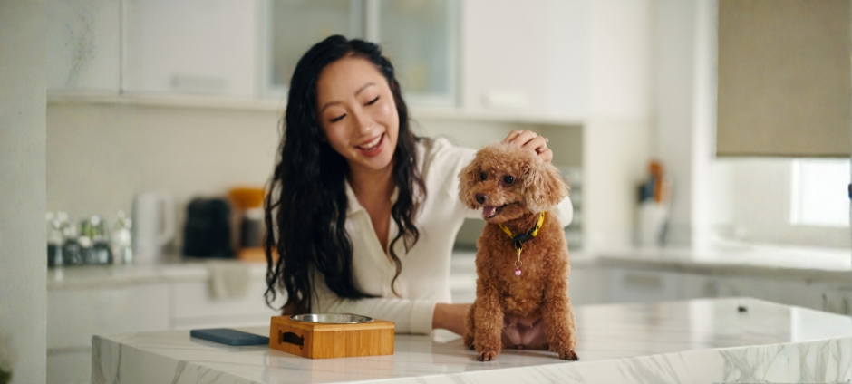 Jak karmić psa bez zębów? Praktyczny poradnik dla opiekunów